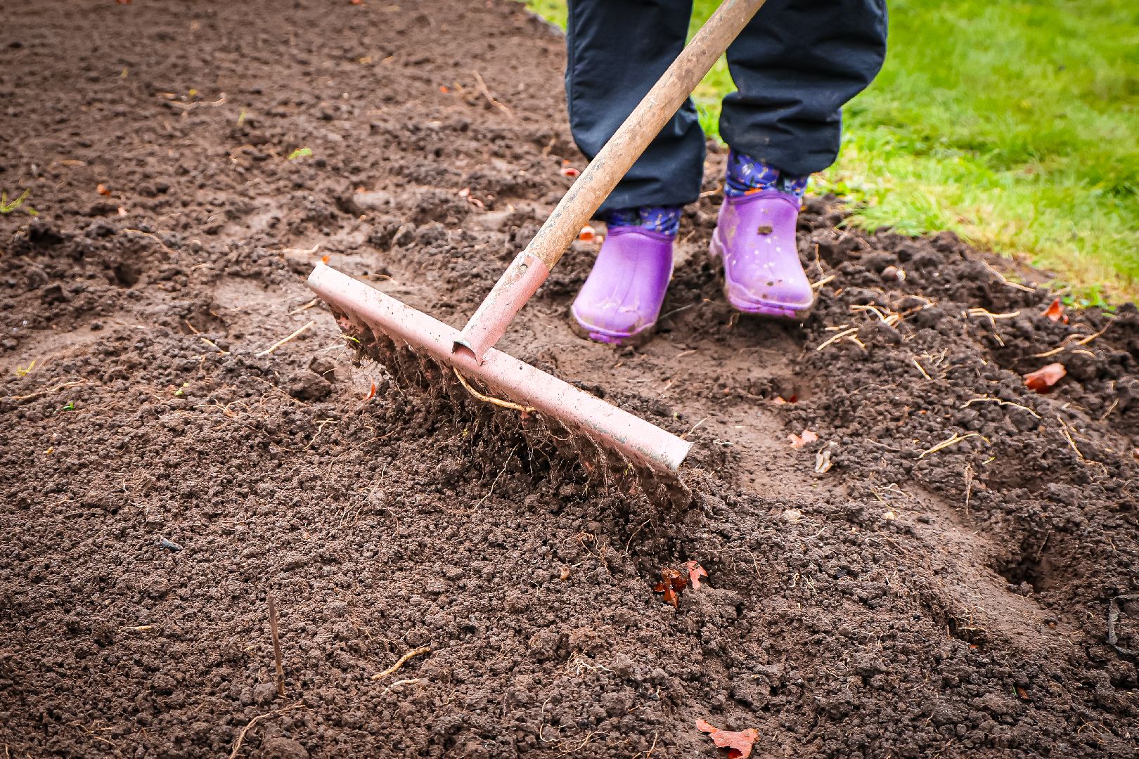 клин, общество, благоустройство,
