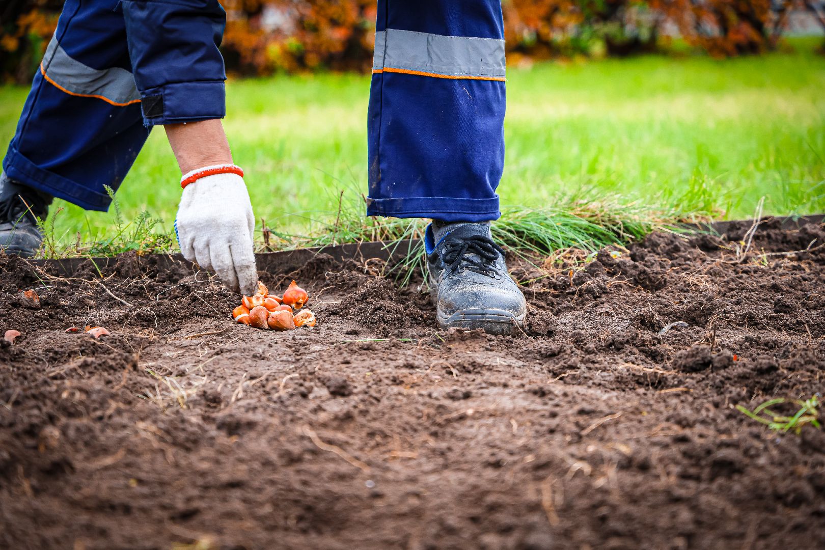 клин, общество, благоустройство,
