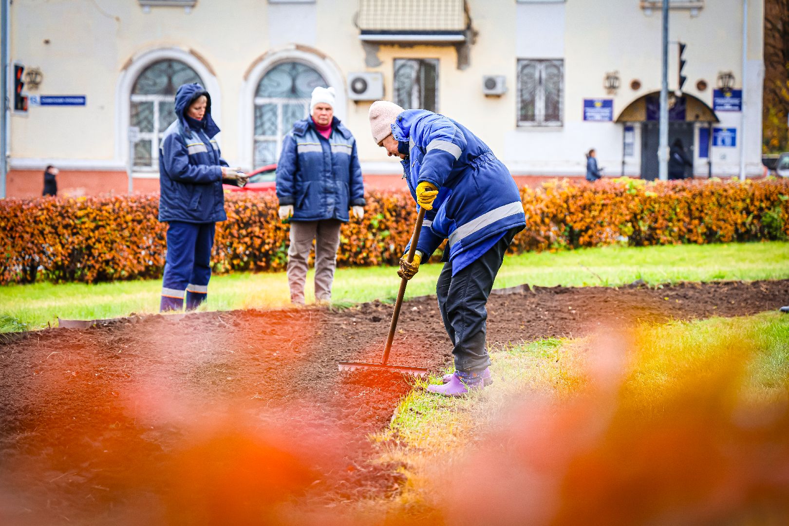 клин, общество, благоустройство,