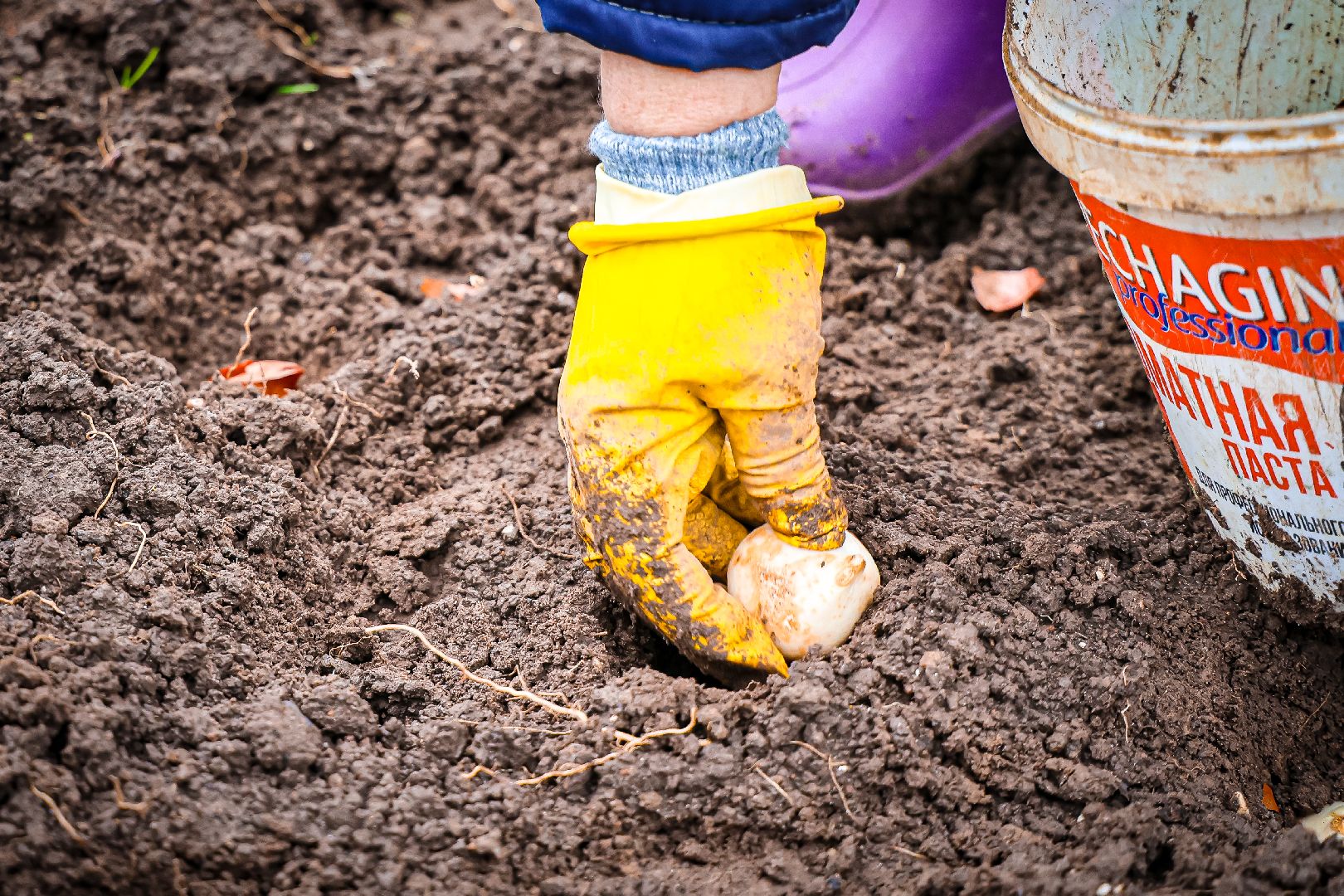 клин, общество, благоустройство,