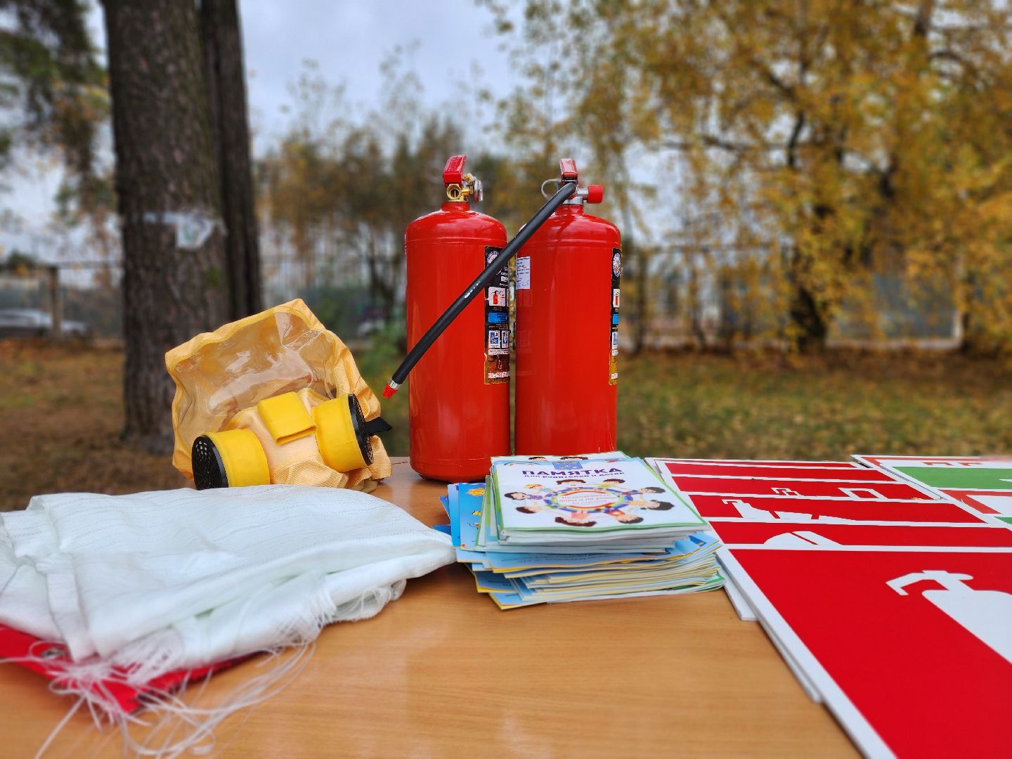 раменское, общество, день добрых дел МЧС,мероприятие для детей с ОВЗ,