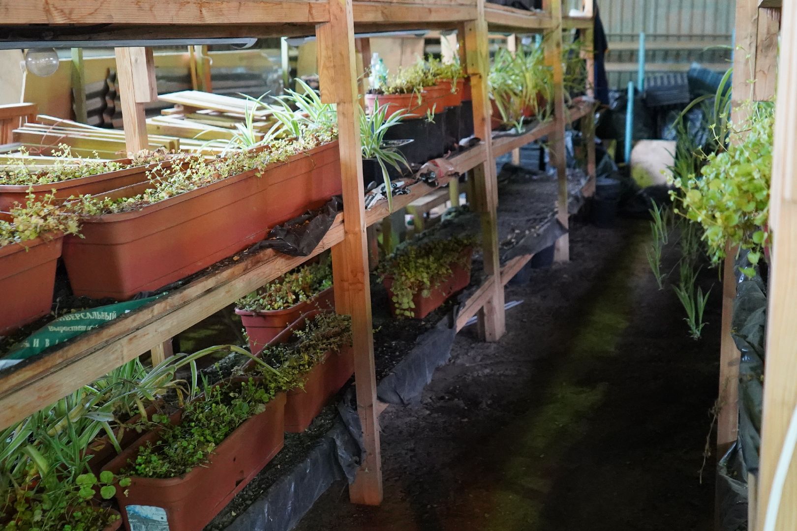 ступино, благоустройство, экскурсия, школьники,