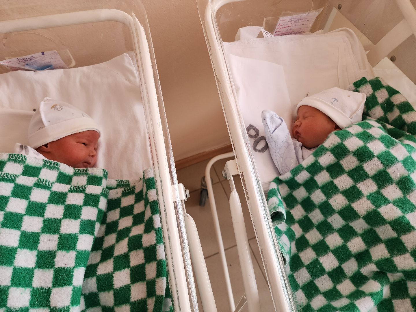 солнечногорск, медицина , двойня, здравоохранение,