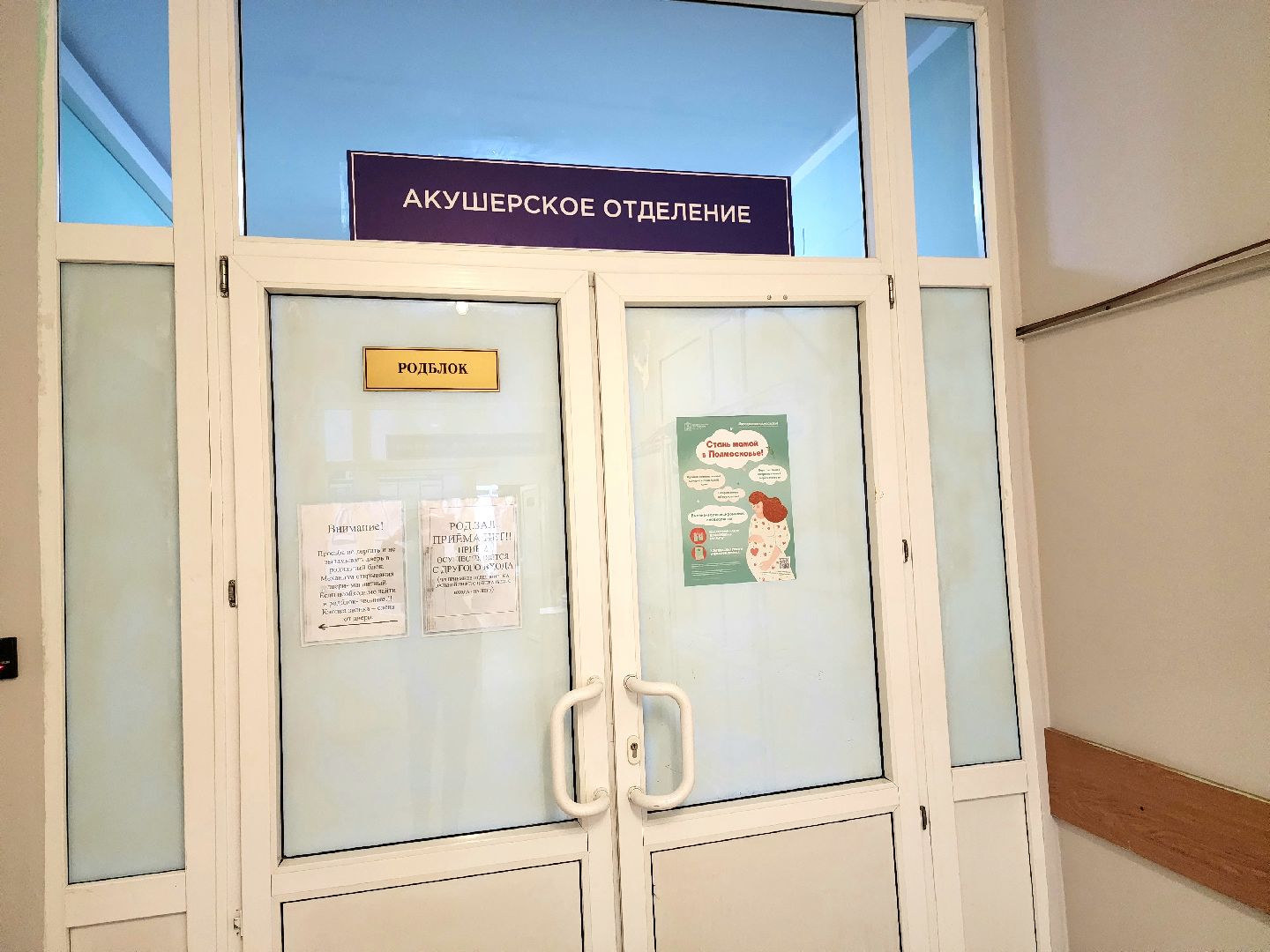 солнечногорск, медицина , двойня, здравоохранение,