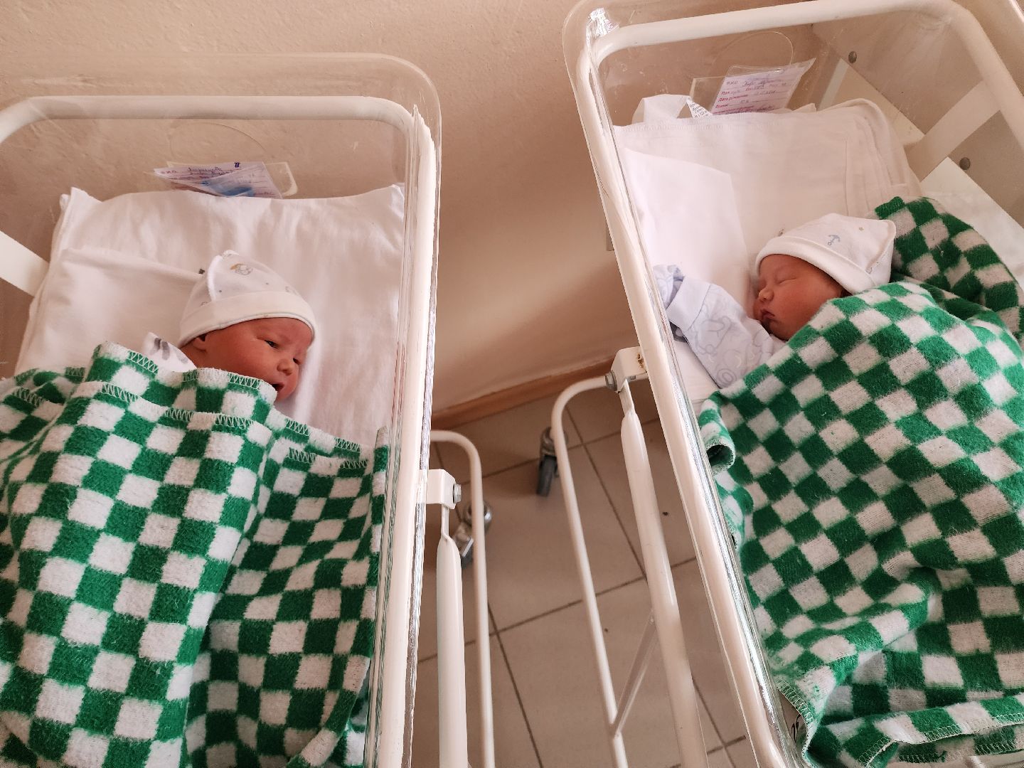 солнечногорск, медицина , двойня, здравоохранение,