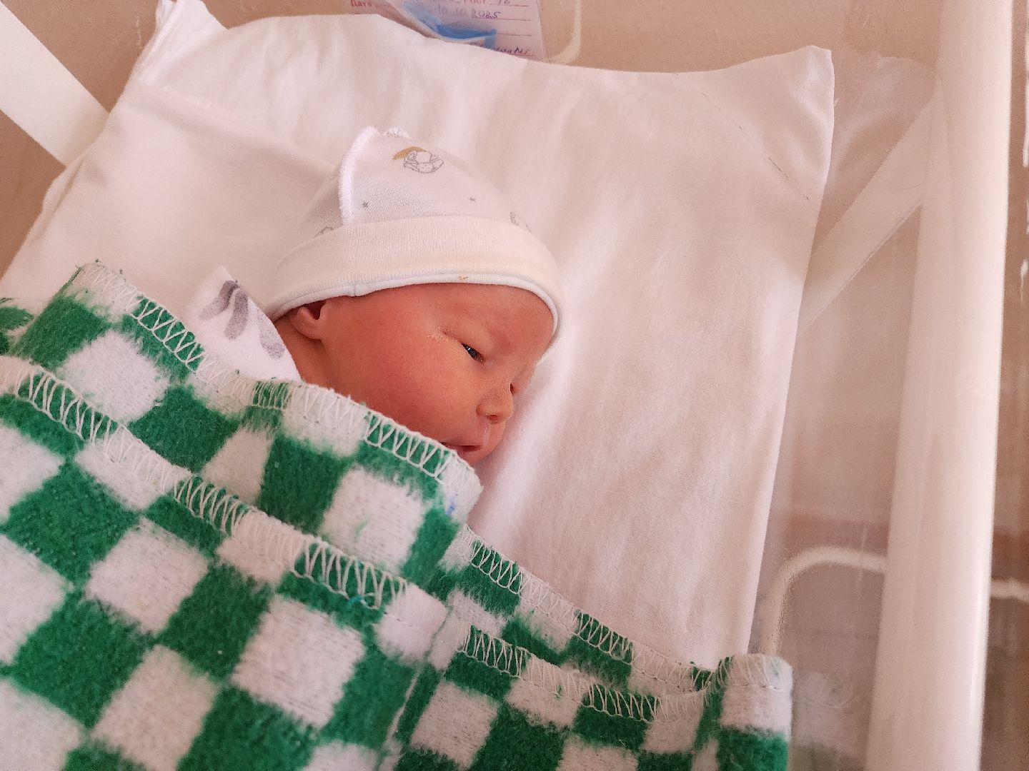 солнечногорск, медицина , двойня, здравоохранение,