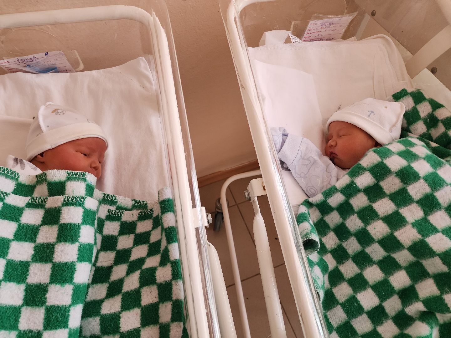 солнечногорск, медицина , двойня, здравоохранение,