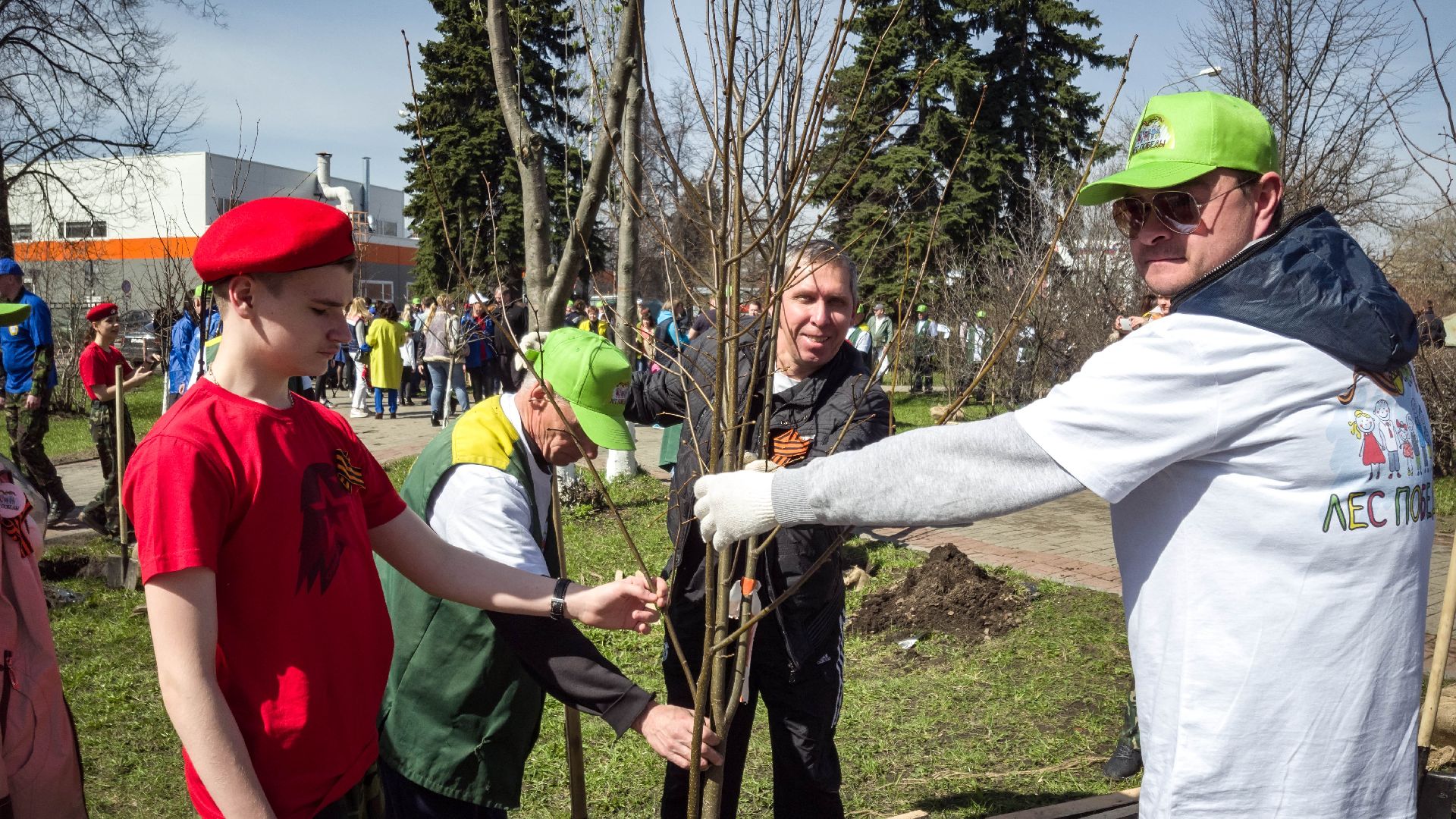 озеленение, благоустройство, лес победы,