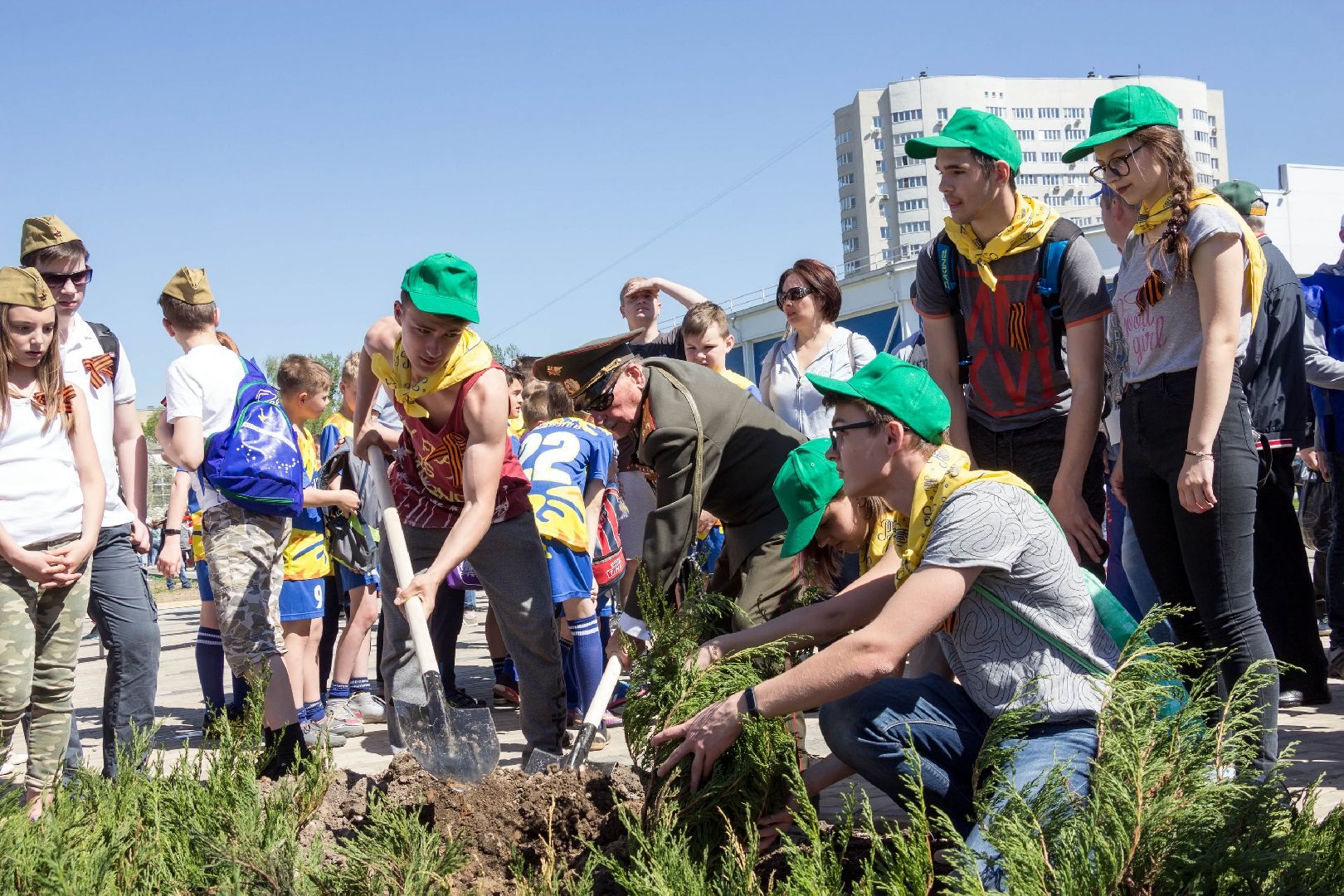 озеленение, благоустройство, лес победы,
