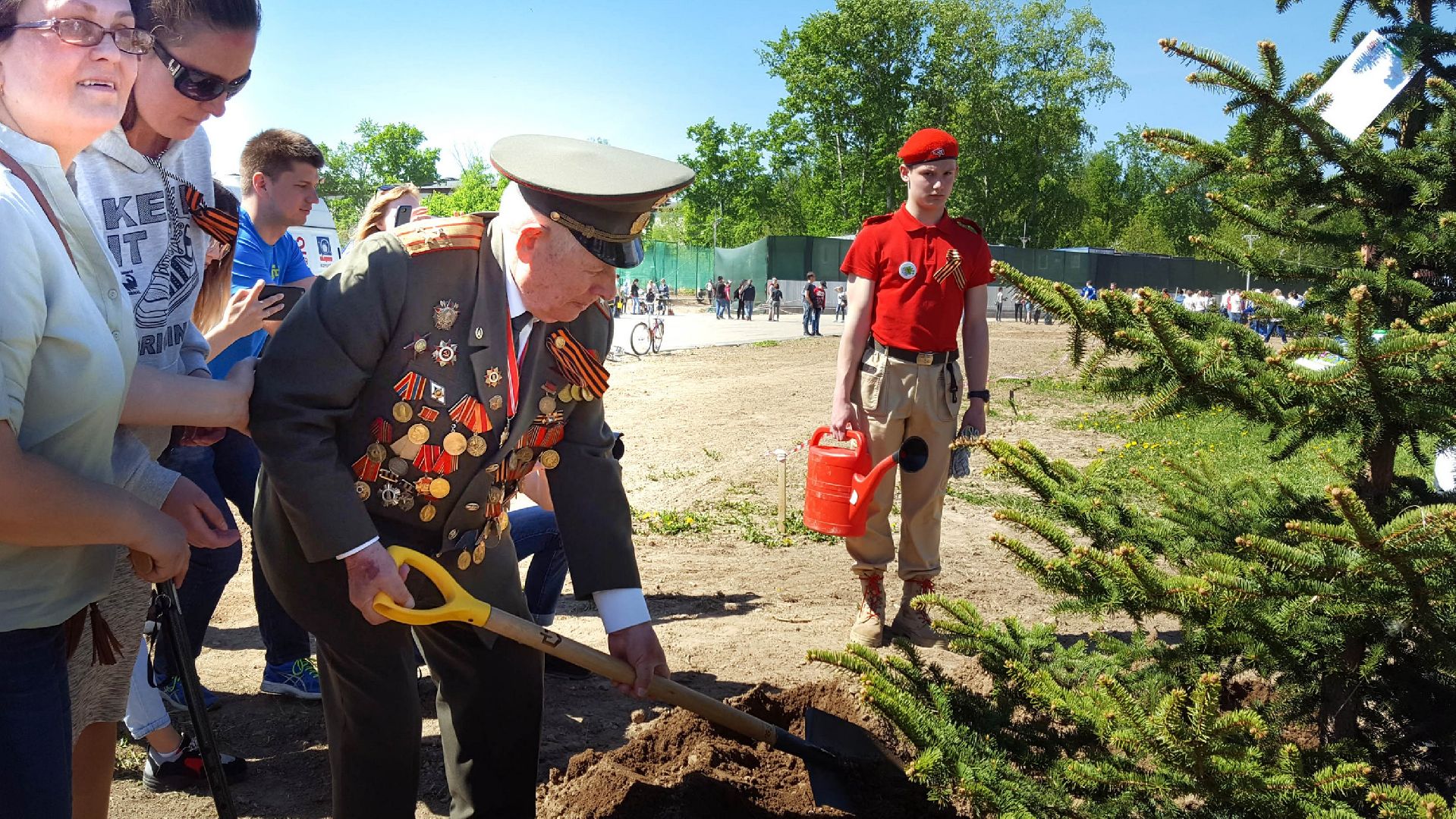озеленение, благоустройство, лес победы,