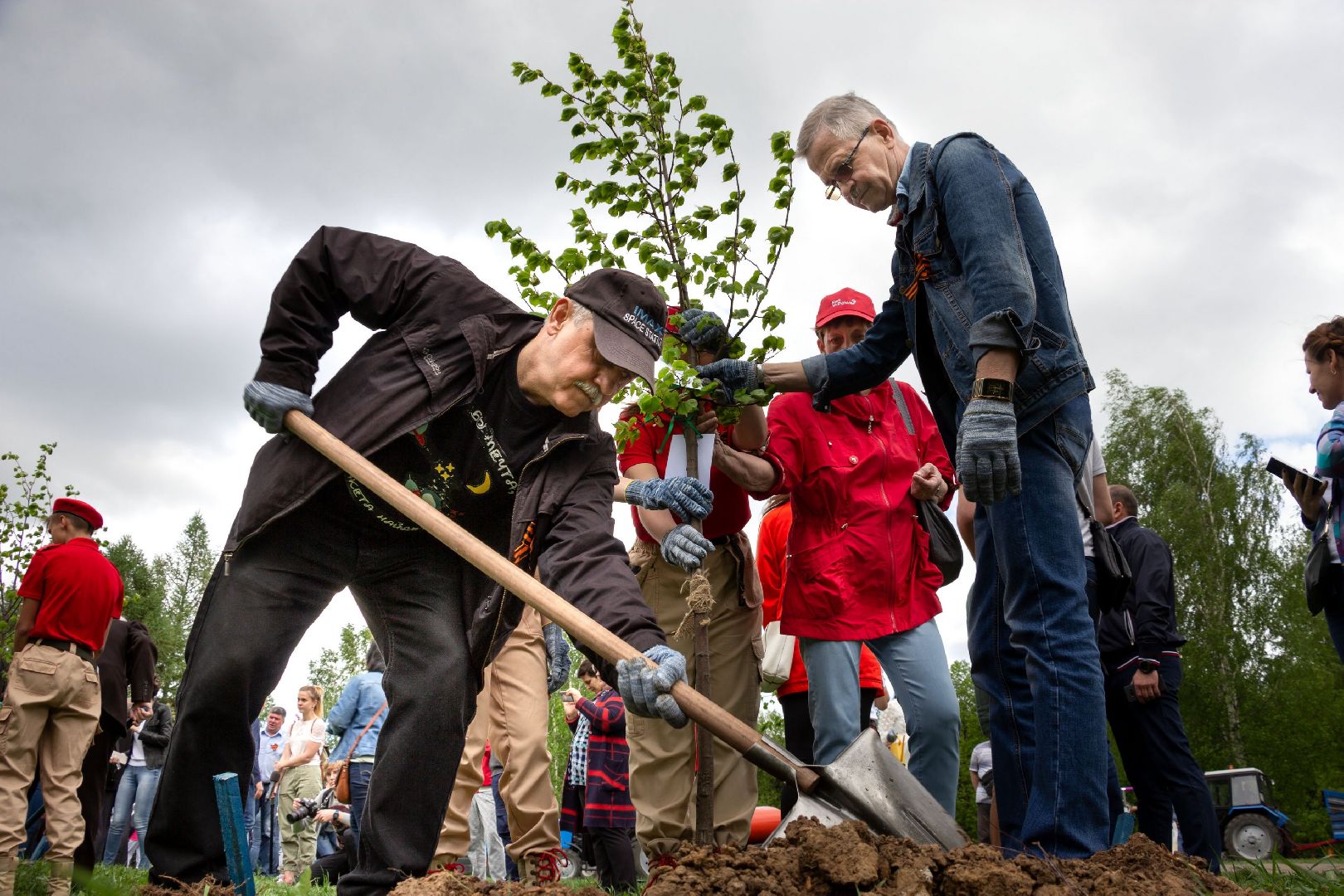 озеленение, благоустройство, лес победы,