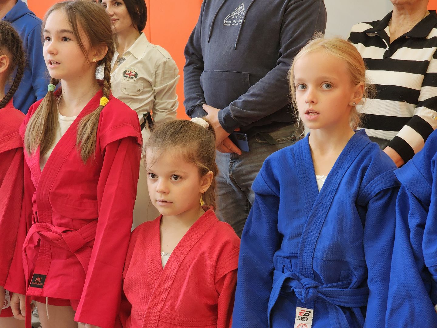 Подольск , Школа 1, Климовск, Самбо в школу,