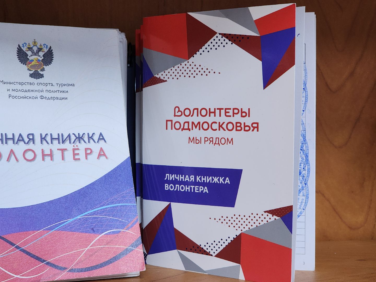 волонтеры подмосковья, амбассадор добра, добровольчество, ногинск, богородский городской округ,