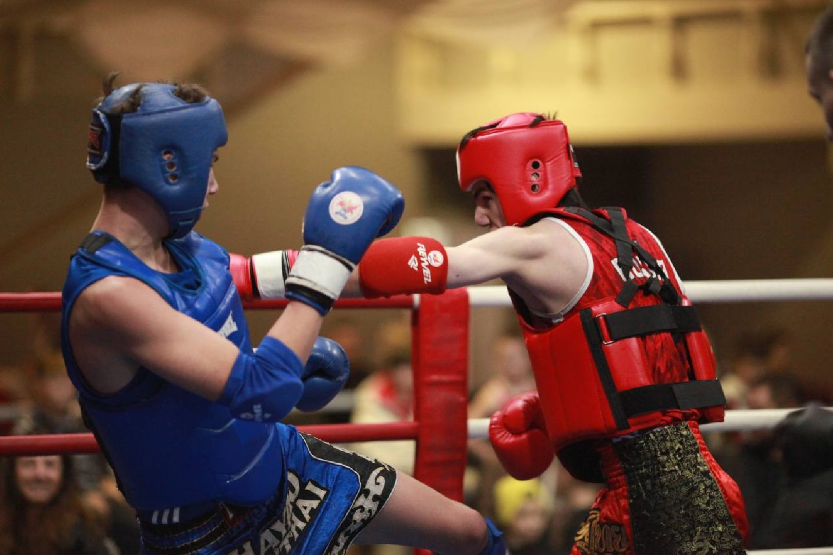 Спорт , Тайскихюй бокс, Дополнительное образование ,