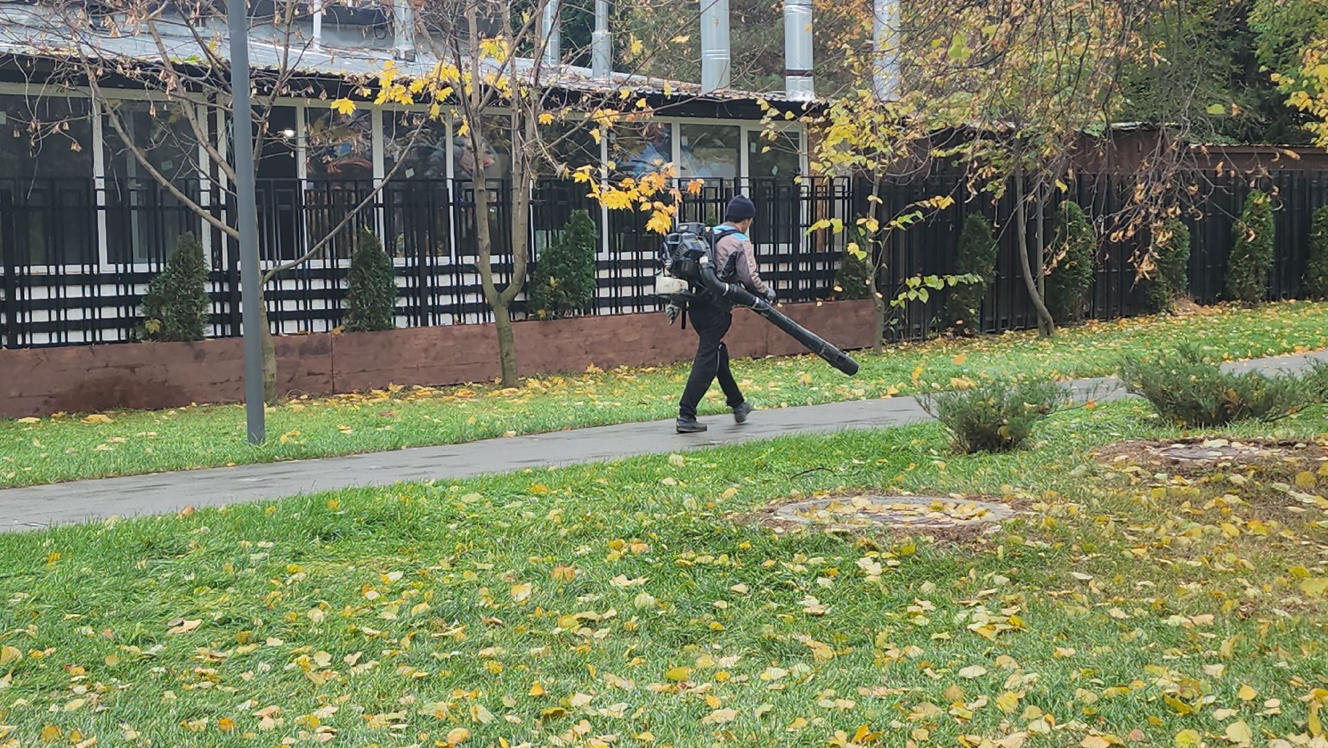 люберцы, наташинский парк, утки,