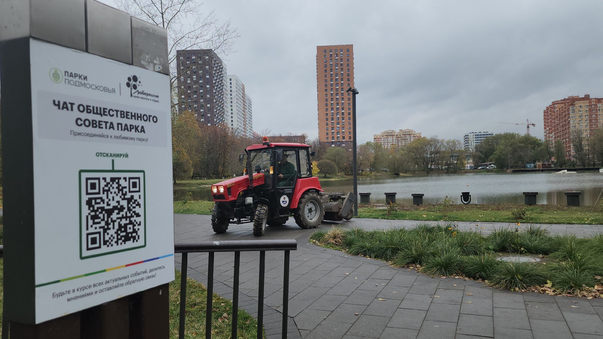 люберцы, наташинский парк, утки,