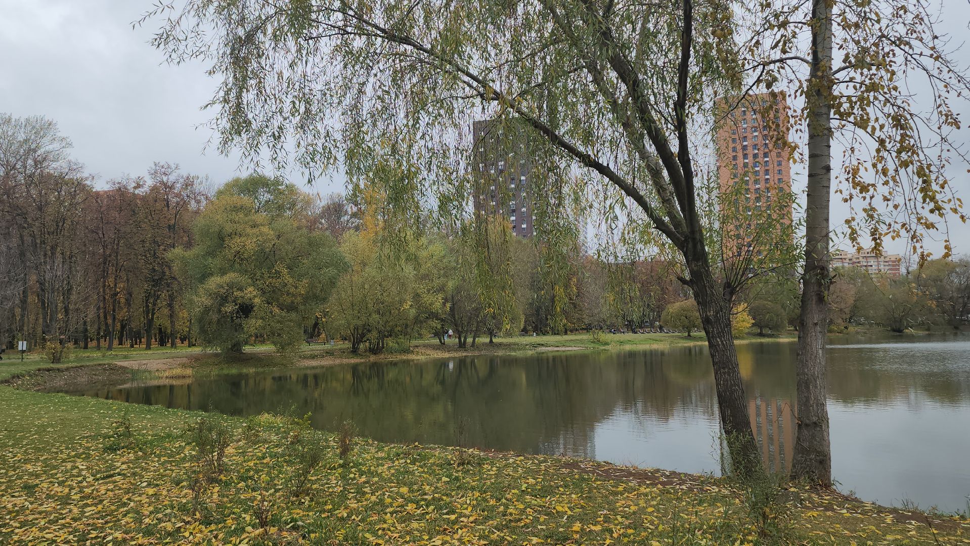 люберцы, наташинский парк, утки,