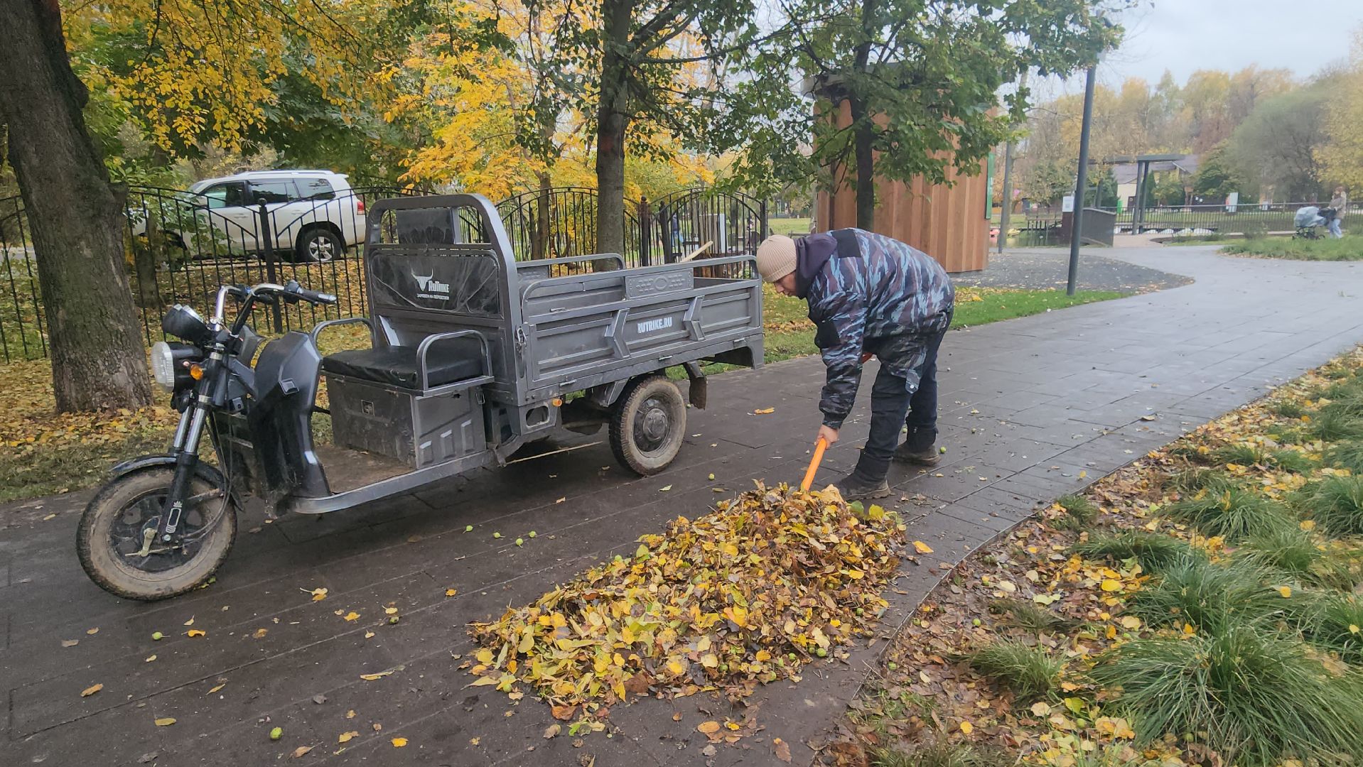 люберцы, наташинский парк, утки,