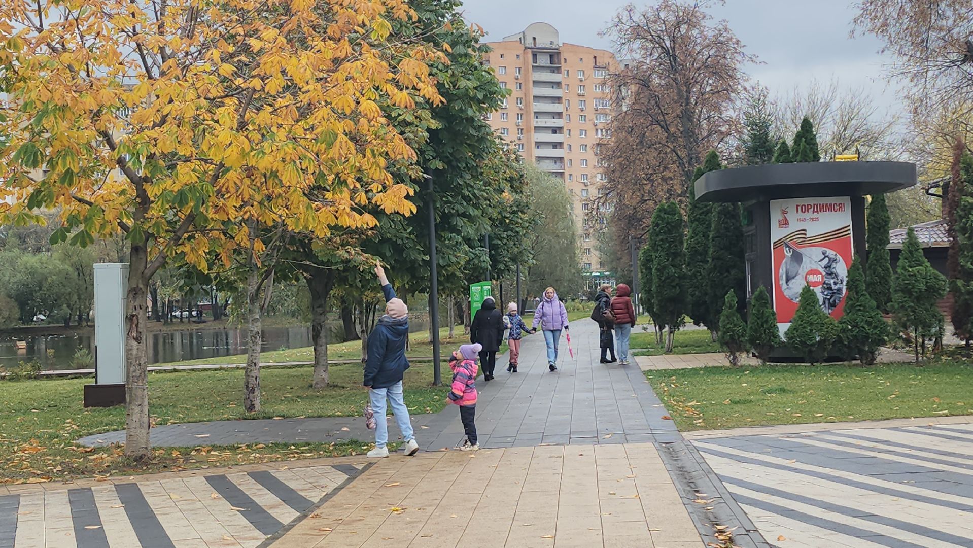 люберцы, наташинский парк, утки,