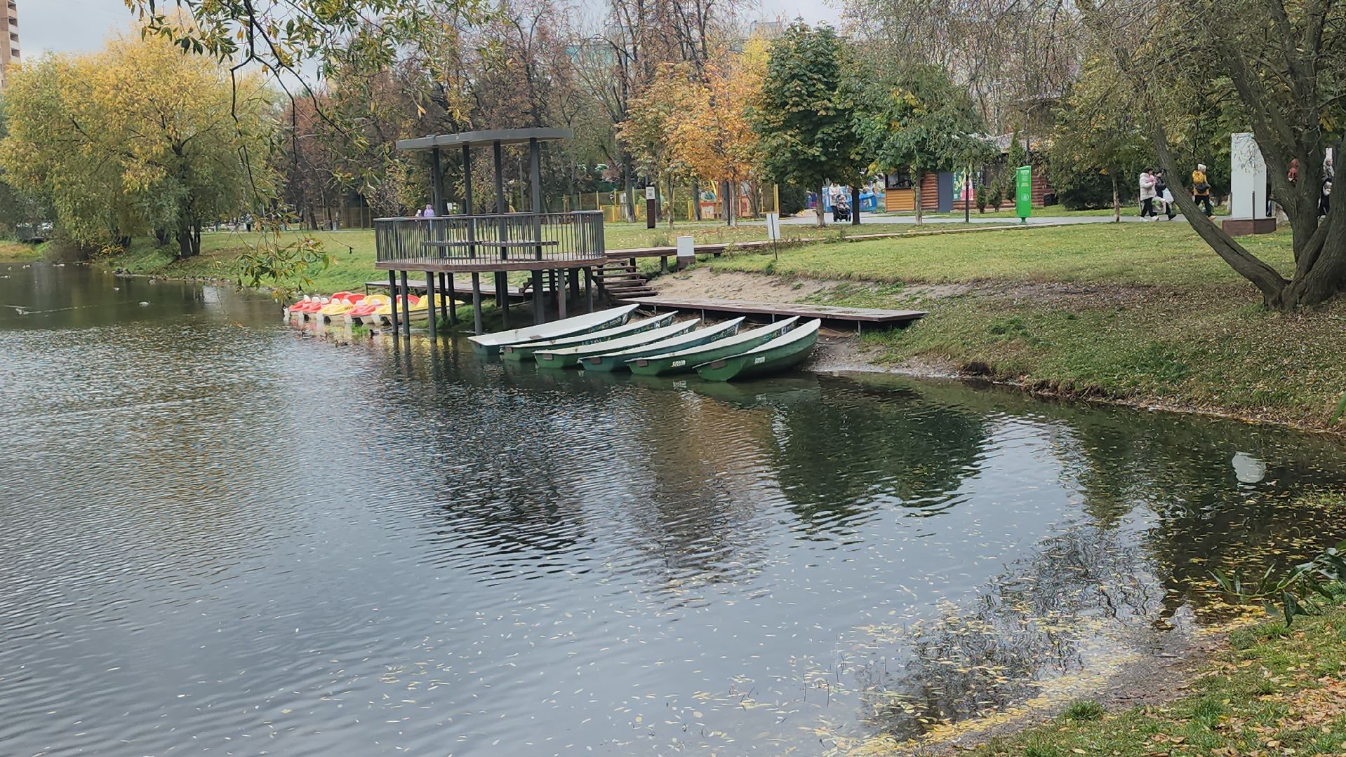 люберцы, наташинский парк, утки,