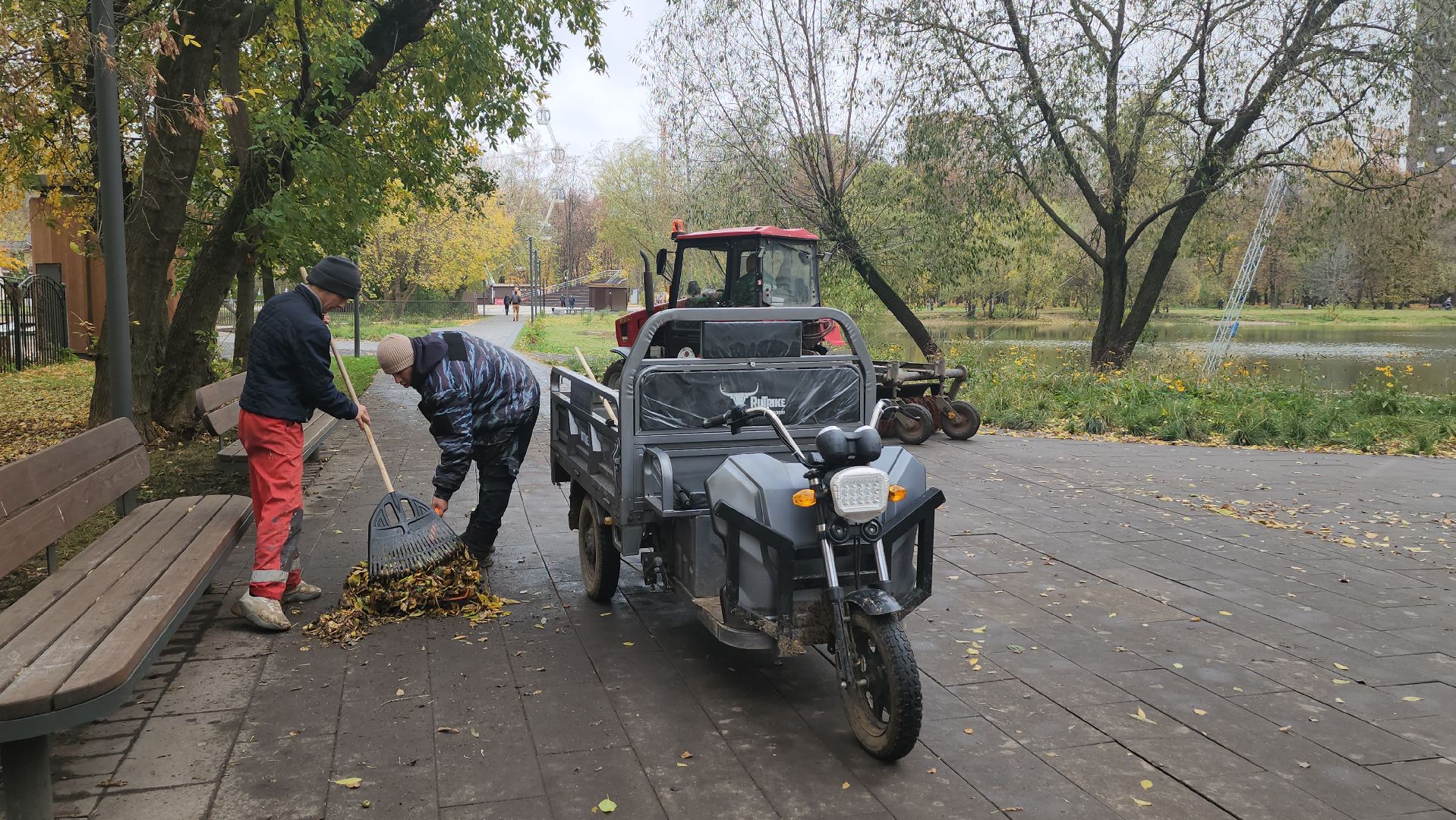 люберцы, наташинский парк, утки,