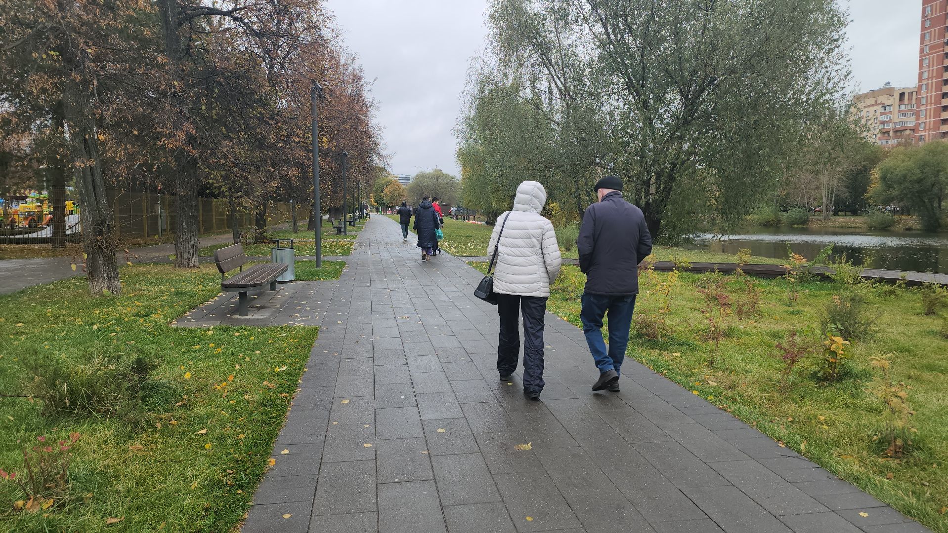 люберцы, наташинский парк, утки,