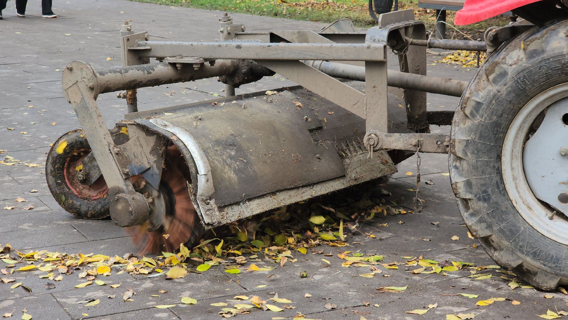 люберцы, наташинский парк, утки,