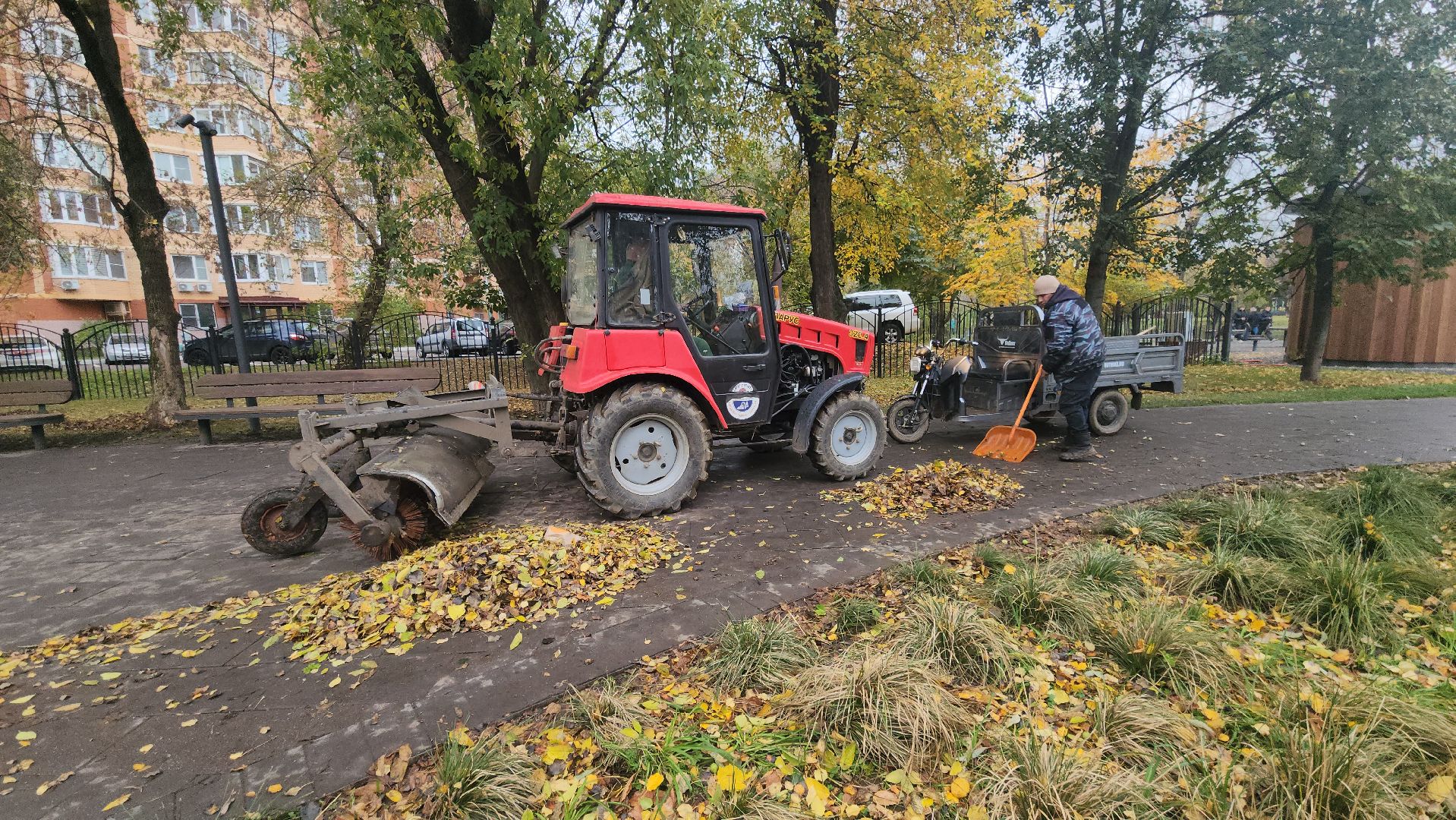 люберцы, наташинский парк, утки,