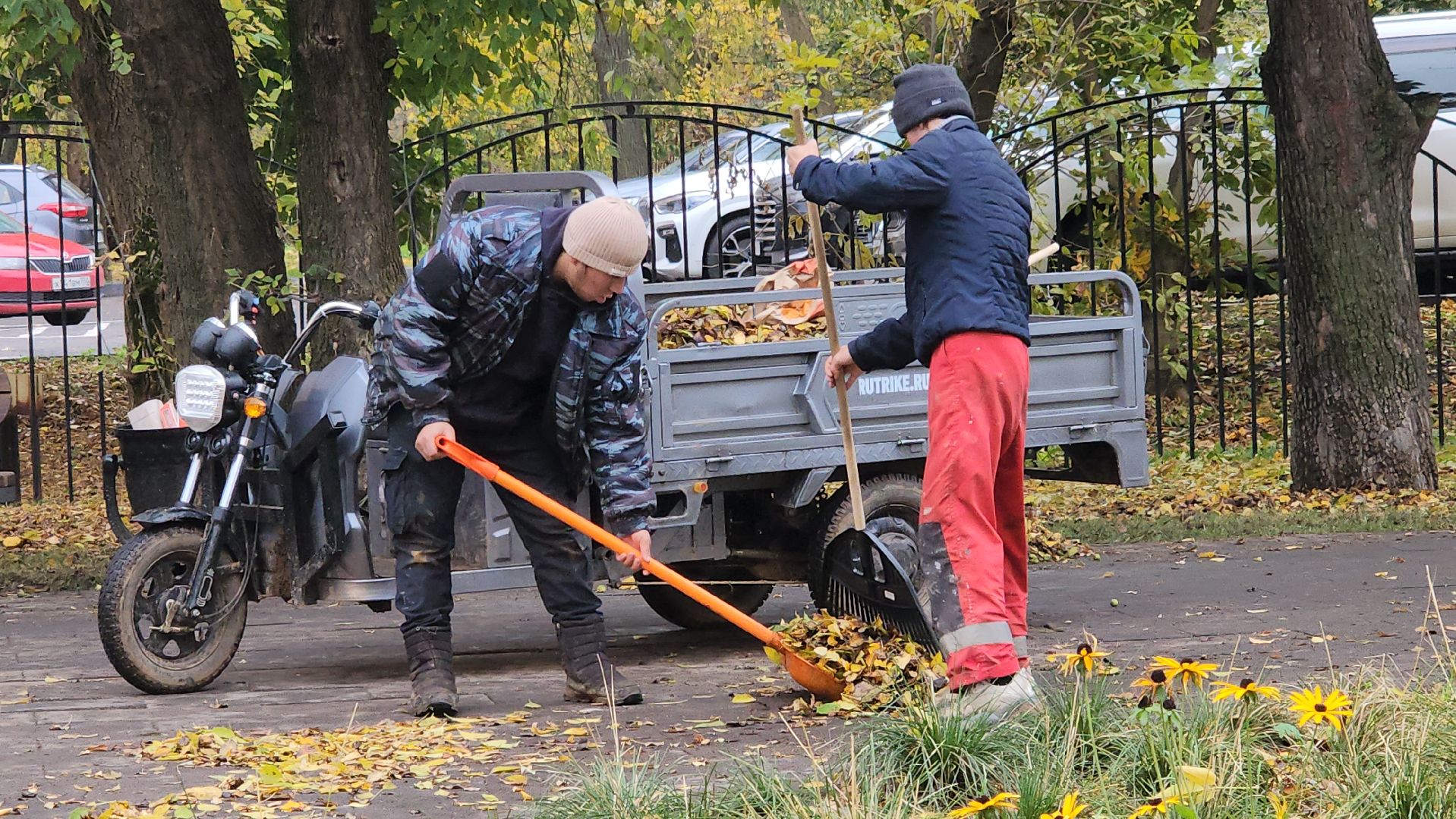 люберцы, наташинский парк, утки,