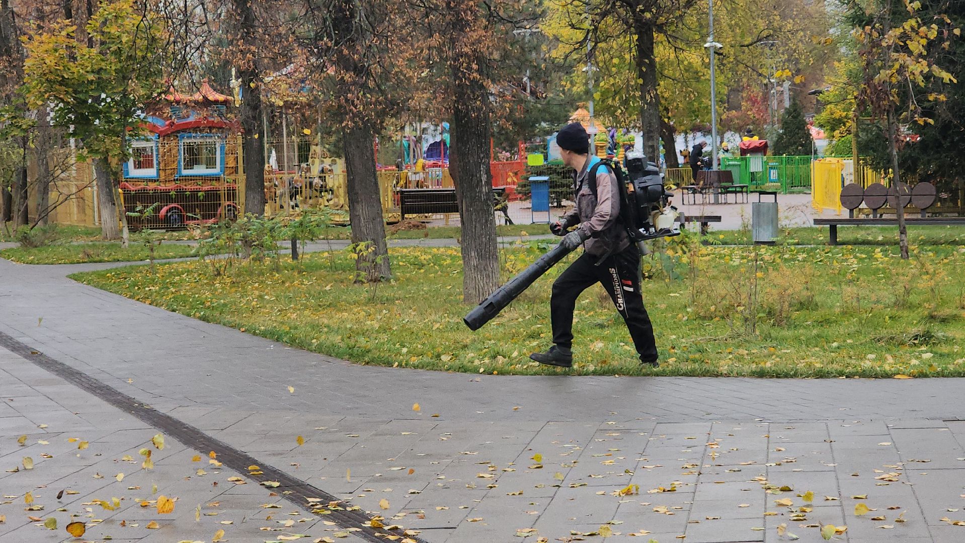 люберцы, наташинский парк, утки,