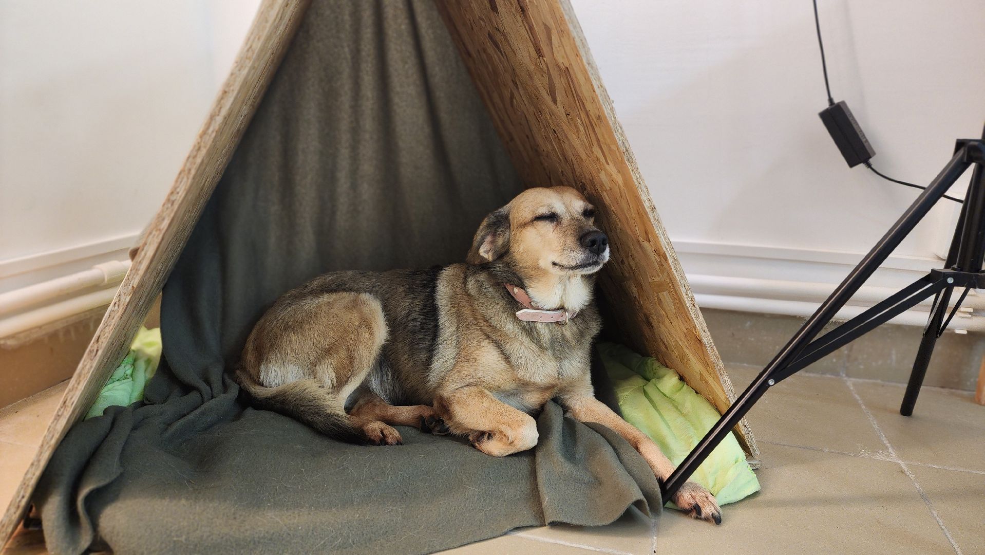 клин, живопись, художница, арт-студия,