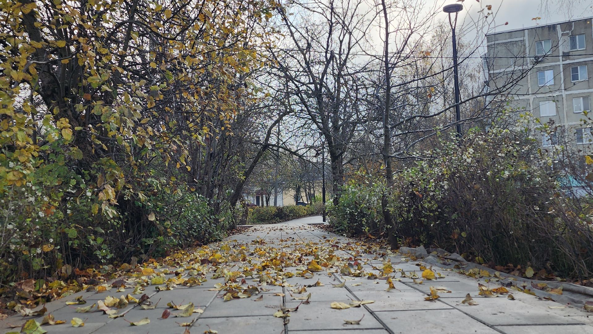 волоколамск, сычево, фкгс, благоустройство сквера,