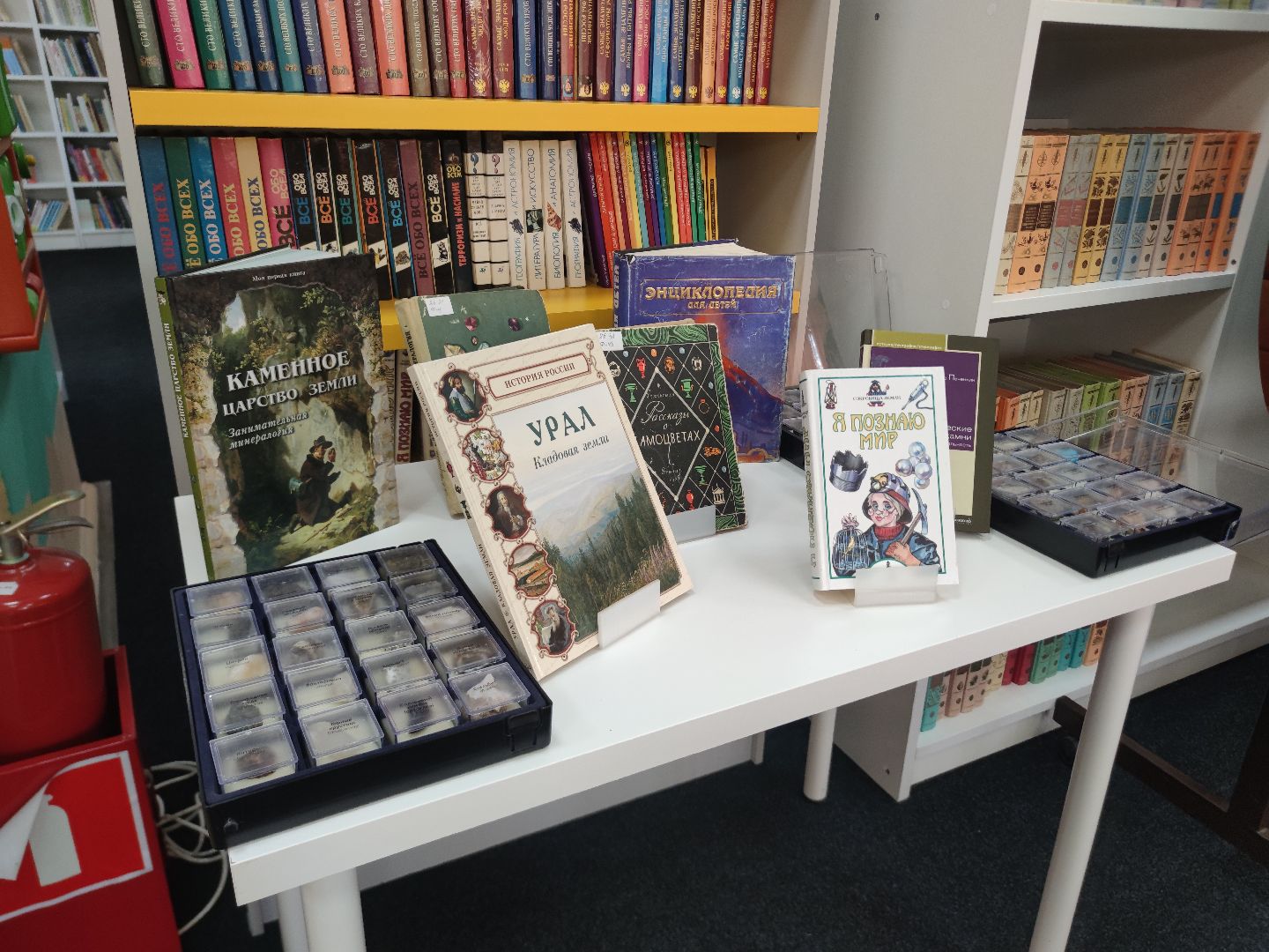 Экологическое образование, дети, студенты, Дубна