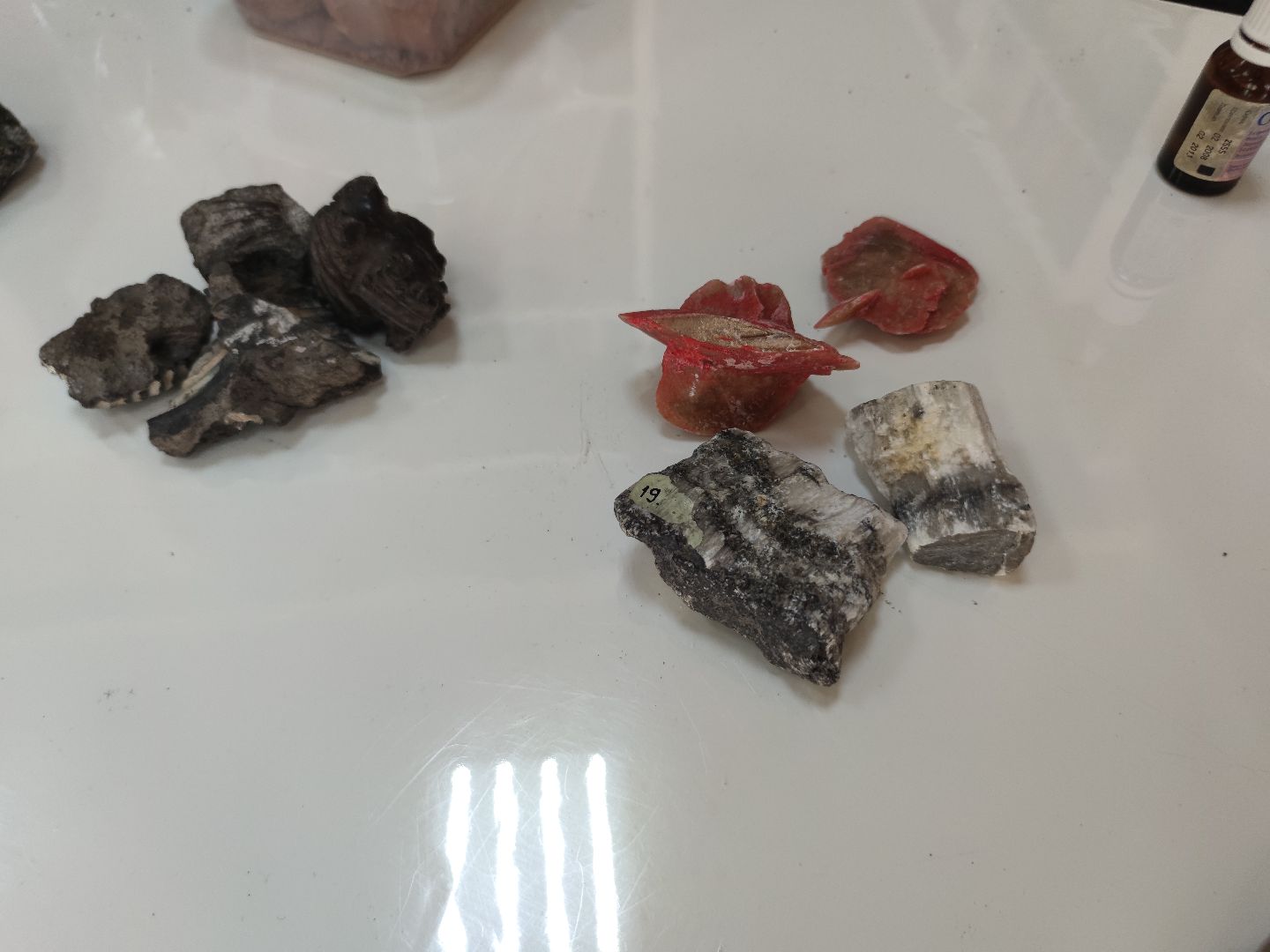 Экологическое образование, дети, студенты, Дубна