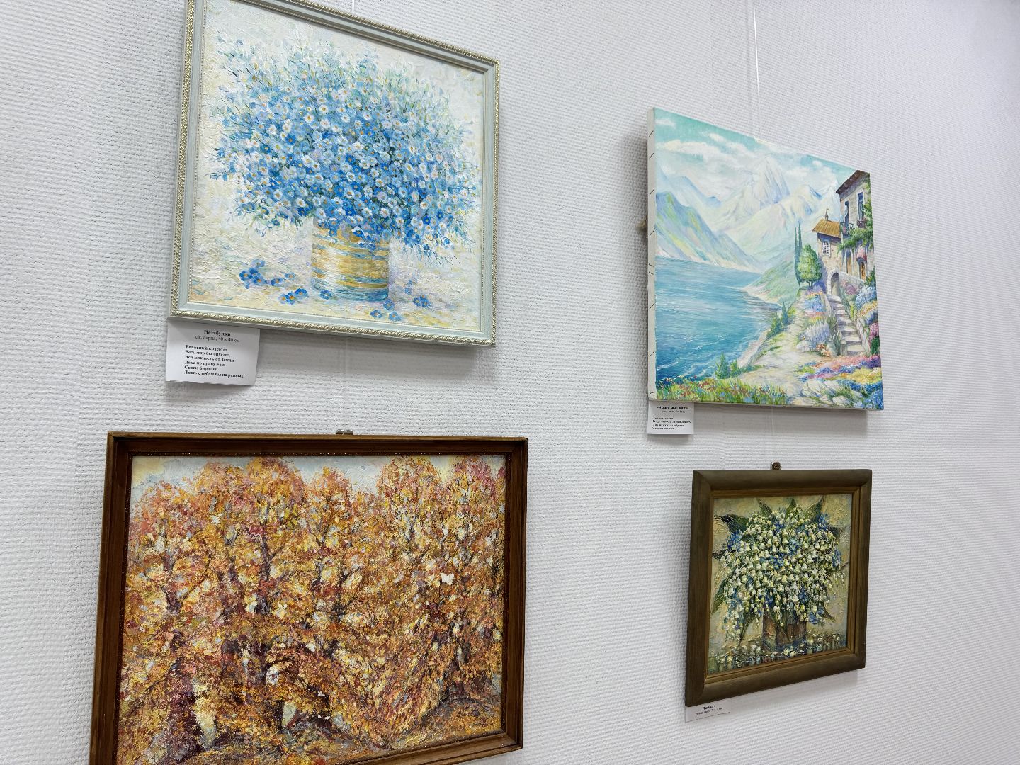 шаховская, выставка, дебютная выставка, музей,