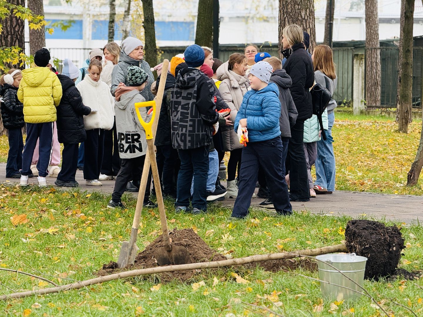 раменское, высадка деревьев, раменский городской парк, раменская гимназия 2, экологическая акция, патриотическая акция,