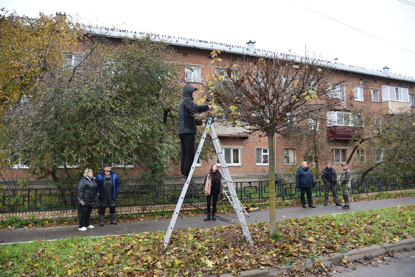 лотошино, благоустройство, обращения жителей, добродел,