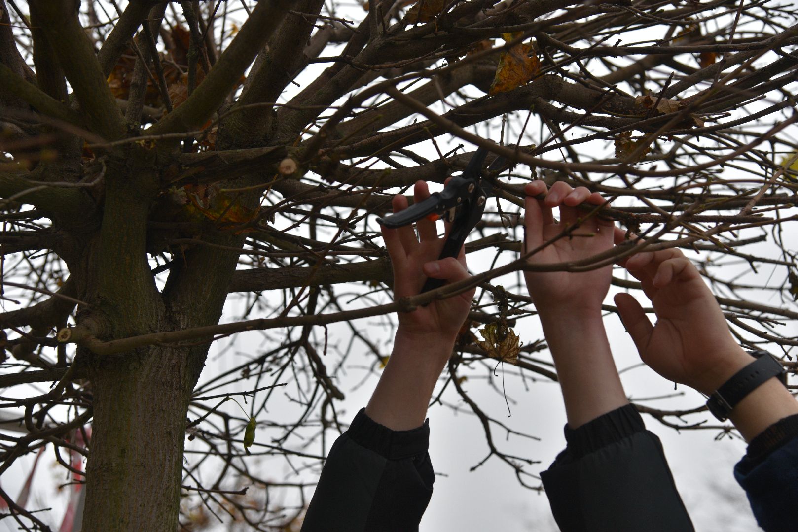 лотошино, благоустройство, обращения жителей, добродел,