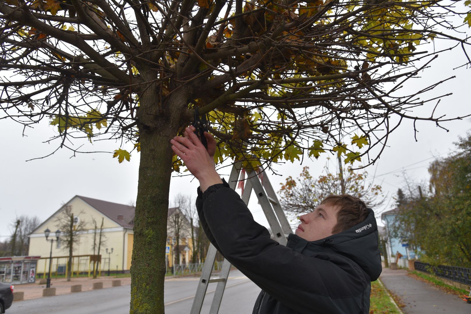 лотошино, благоустройство, обращения жителей, добродел,