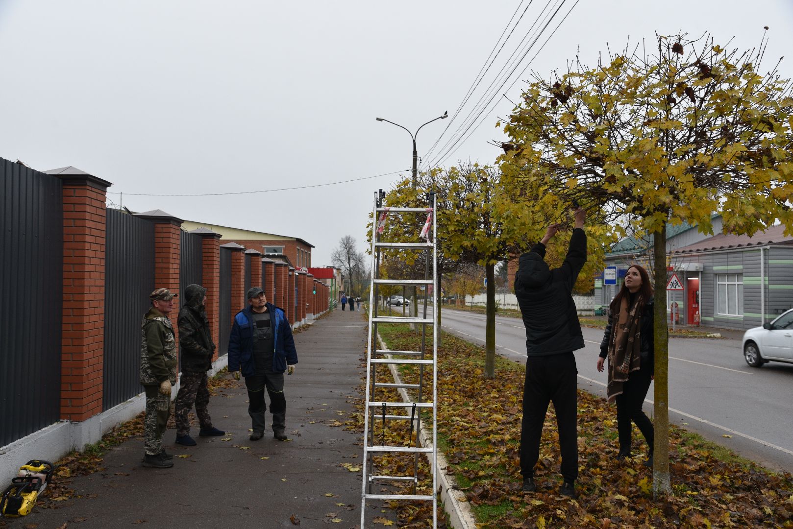 лотошино, благоустройство, обращения жителей, добродел,