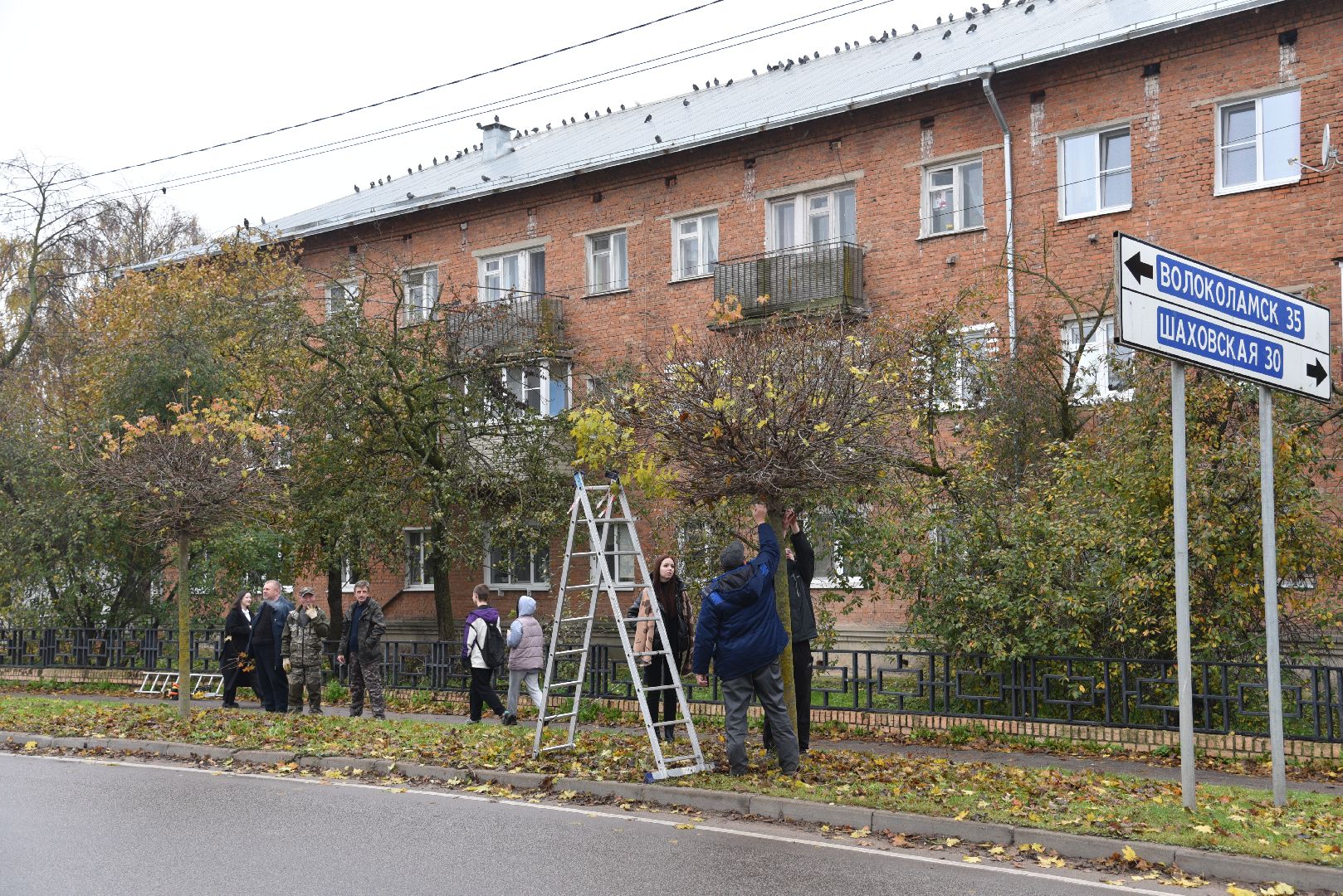 лотошино, благоустройство, обращения жителей, добродел,