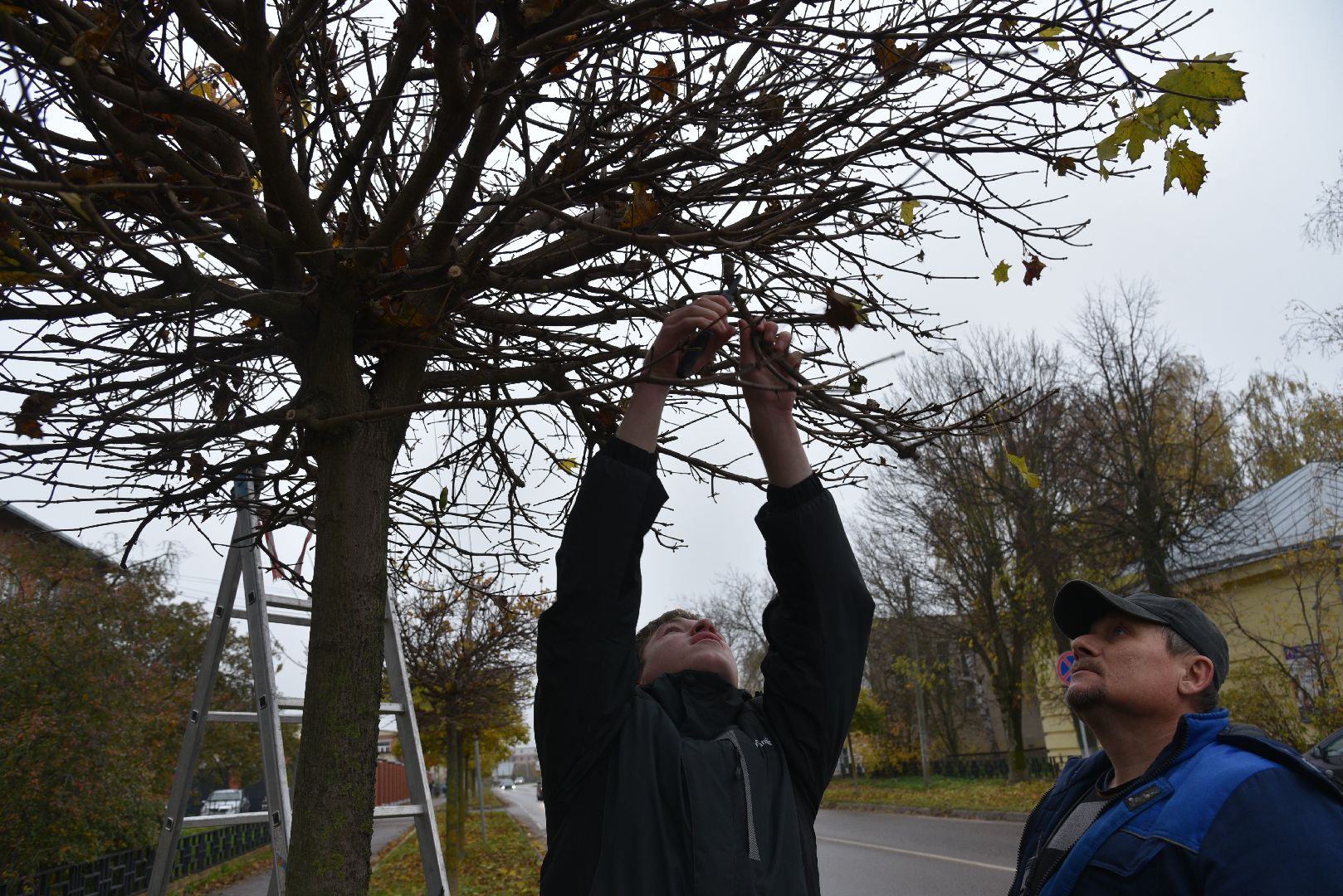 лотошино, благоустройство, обращения жителей, добродел,