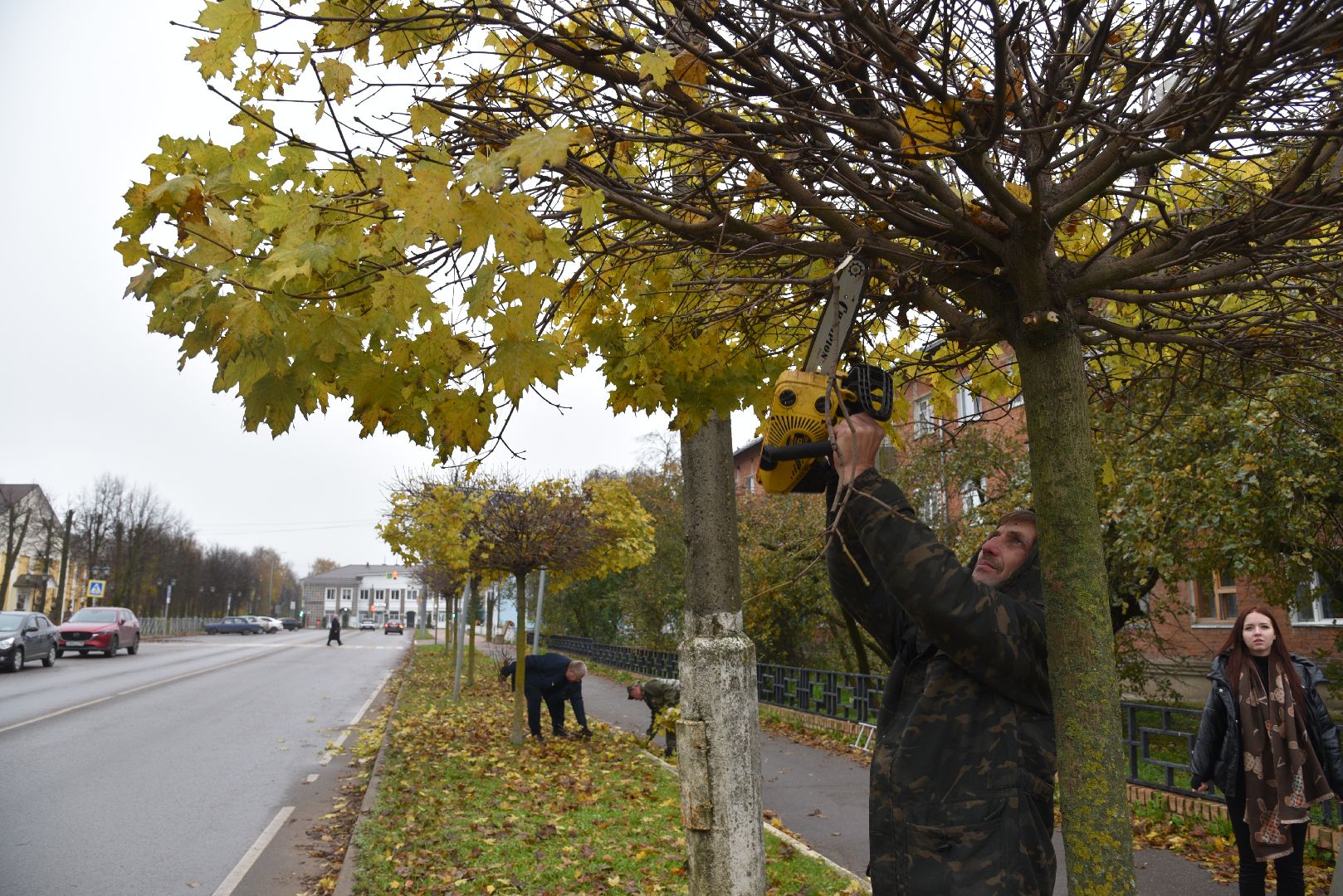 лотошино, благоустройство, обращения жителей, добродел,