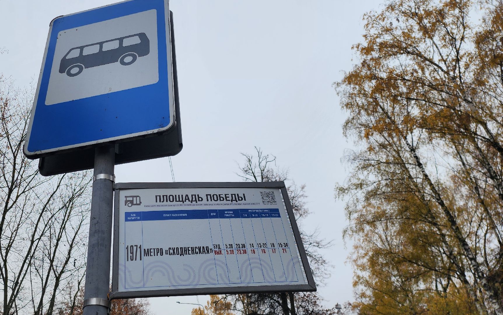 Химки , Транспорт, Автобусы,