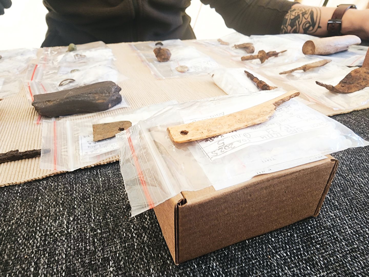 пущино, серпухов, наука, археологи, раскопки,