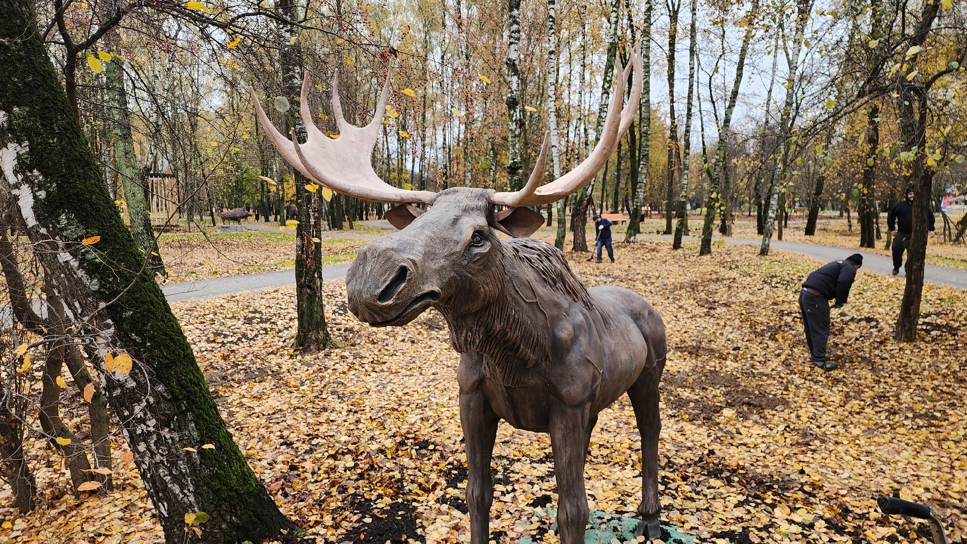 серпухов, подмосковье, парк питомник,