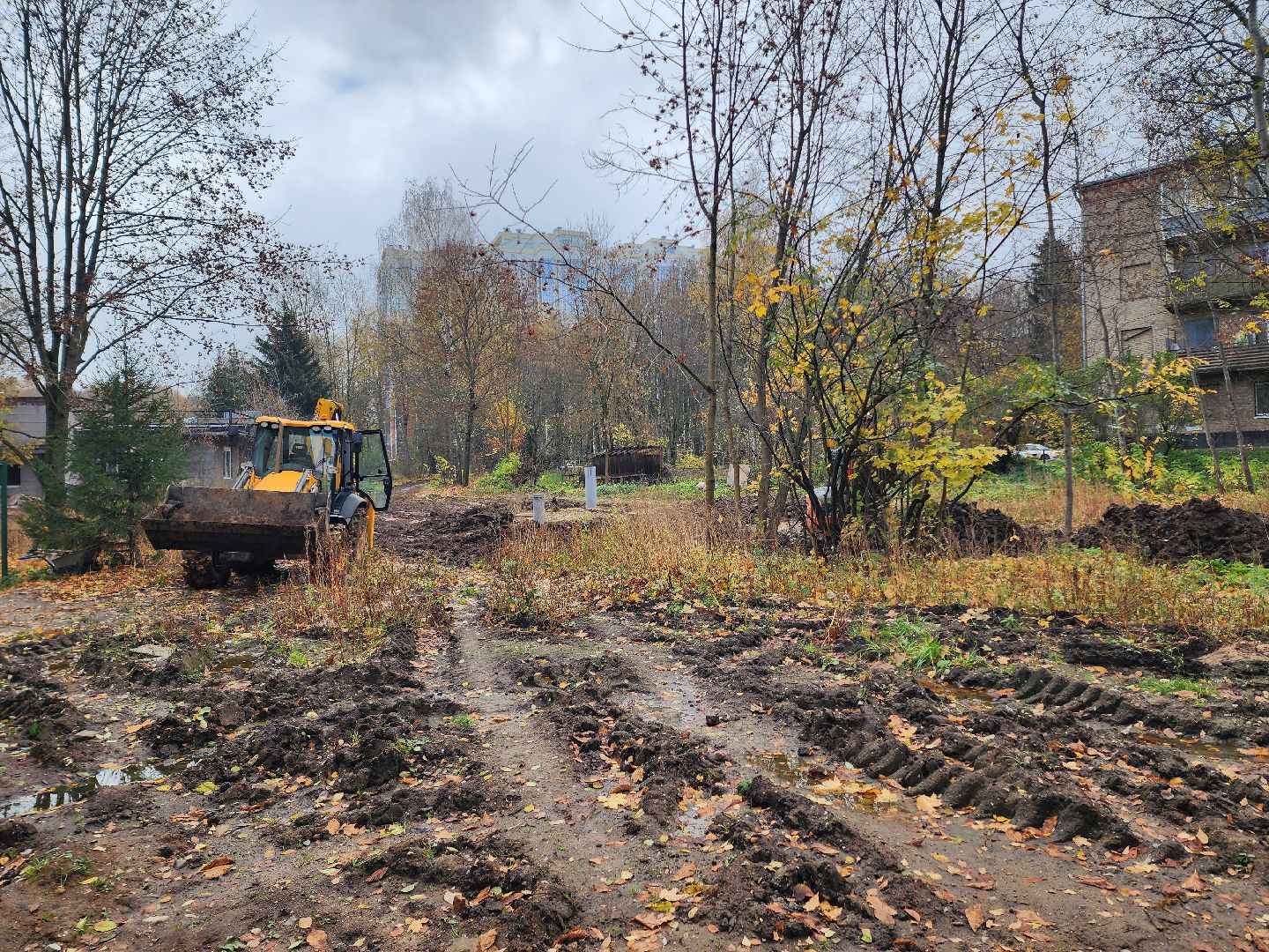 солнечногорск, благоустройство , выстрел, жители ,