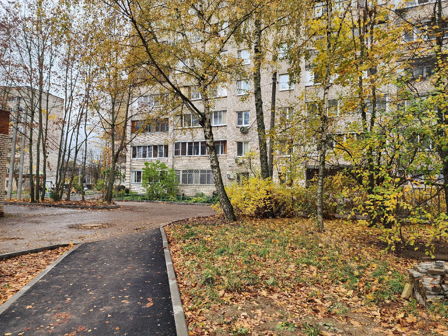 солнечногорск, благоустройство , выстрел, жители ,