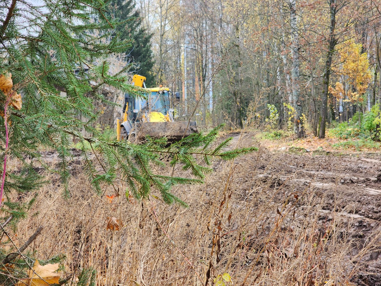 солнечногорск, благоустройство , выстрел, жители ,