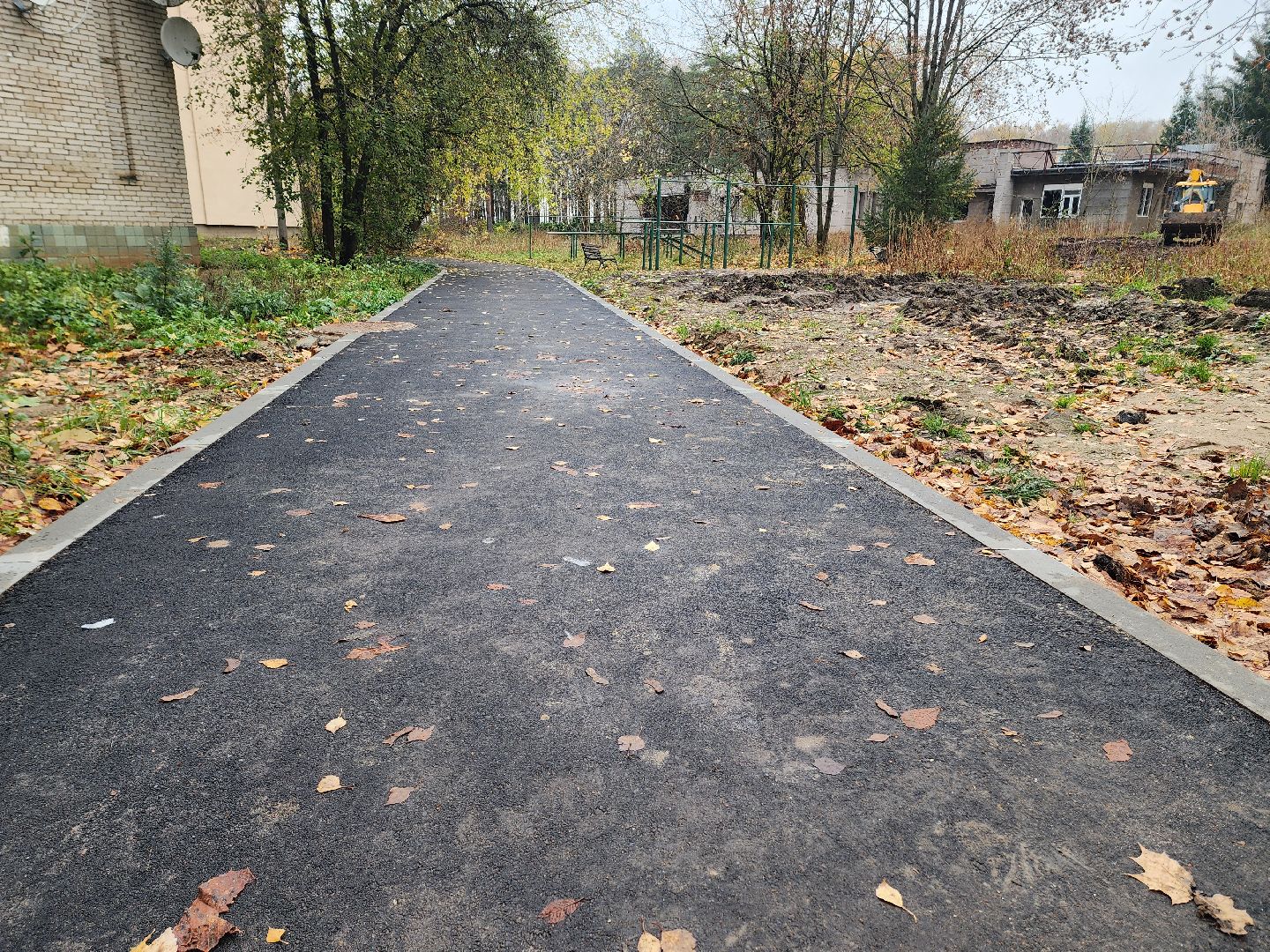 солнечногорск, благоустройство , выстрел, жители ,